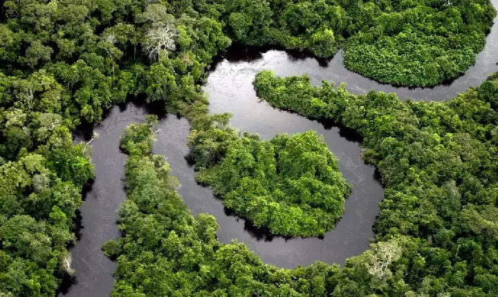 Fundo Amazônia ajuda o Brasil no caminho da sustentabilidade