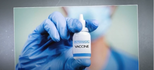 Saiba como funciona a vacina de spray nasal que pode ajudar a acabar com a pandemia da Covid