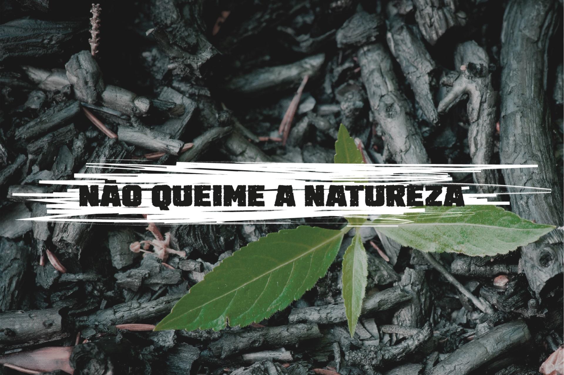 IRI Brasil lança campanha  para enfrentar a crise climática na Amazônia