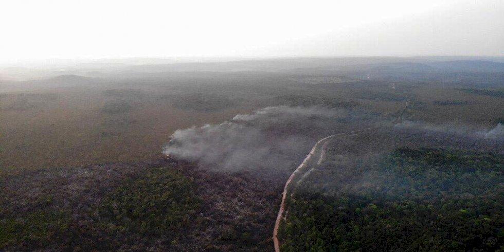 Área queimada no Brasil cresce 248% em relação a janeiro de 2023