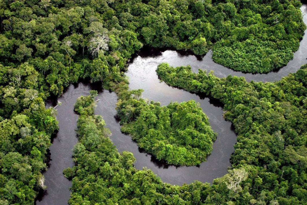 Fundo Amazônia ajuda o Brasil no caminho da sustentabilidade