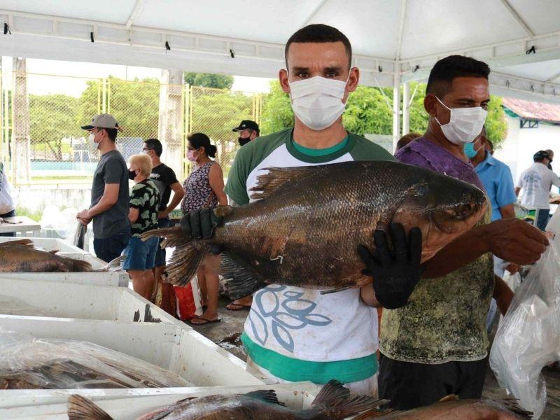 Mais de 100 toneladas de peixe serão ofertadas no 'Feirão do Pescado' em Manaus; confira os pontos
