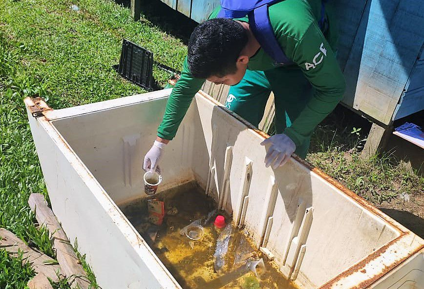 Mais de 2,5 mil casos de dengue são confirmados no Amazonas