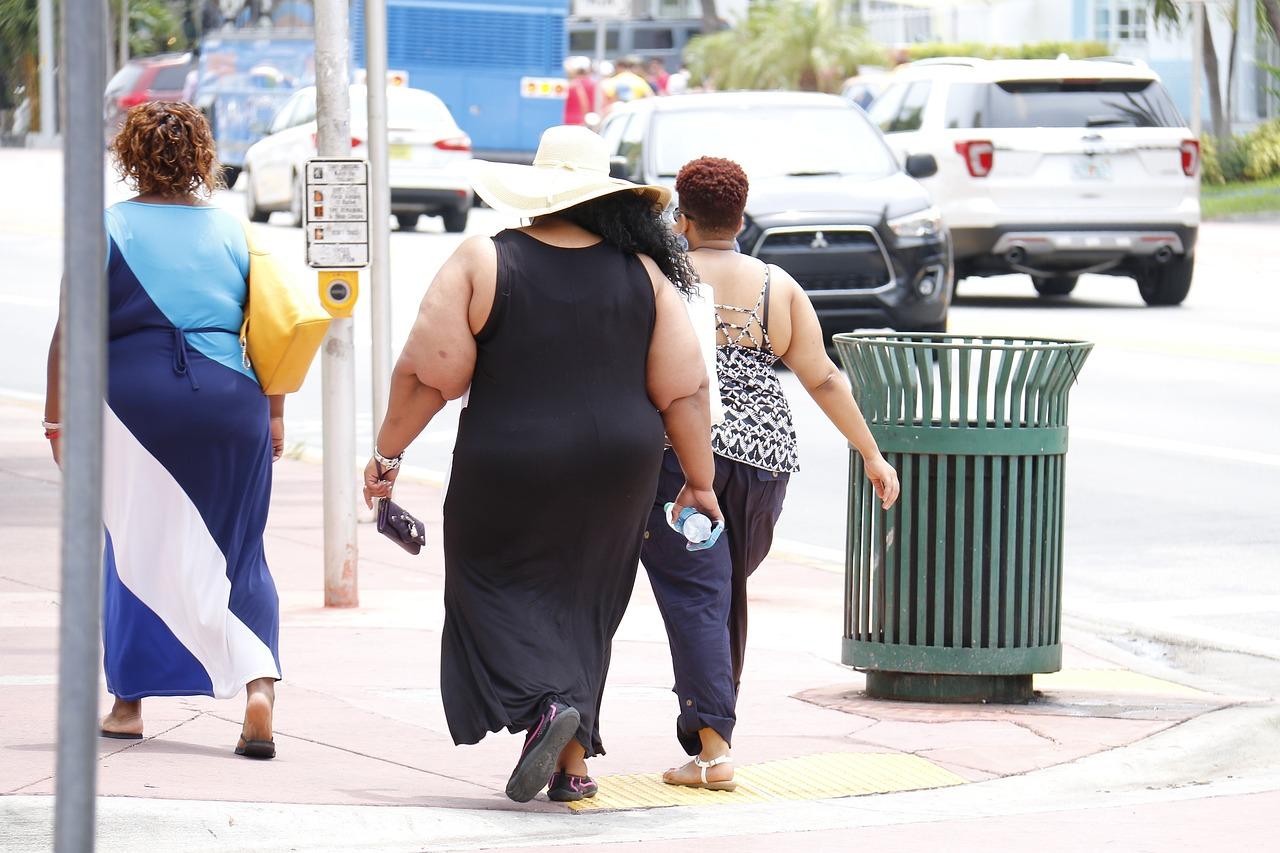 Uma em cada oito pessoas no mundo é obesa, alerta OMS